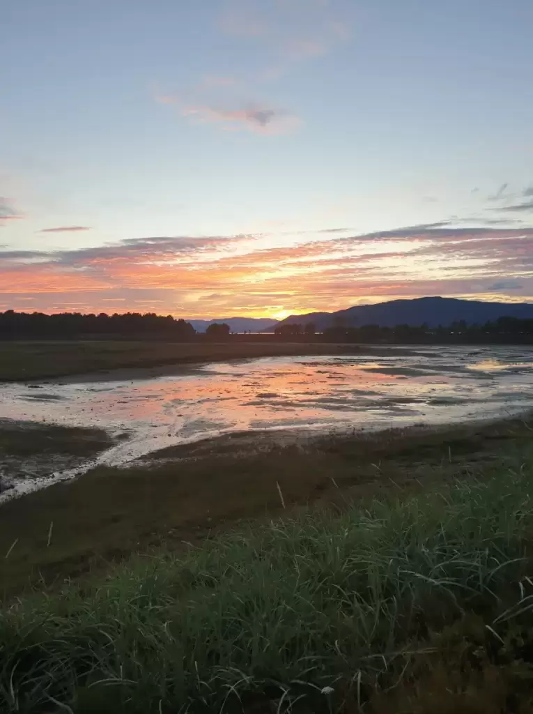 solvang camping og leirsted 1