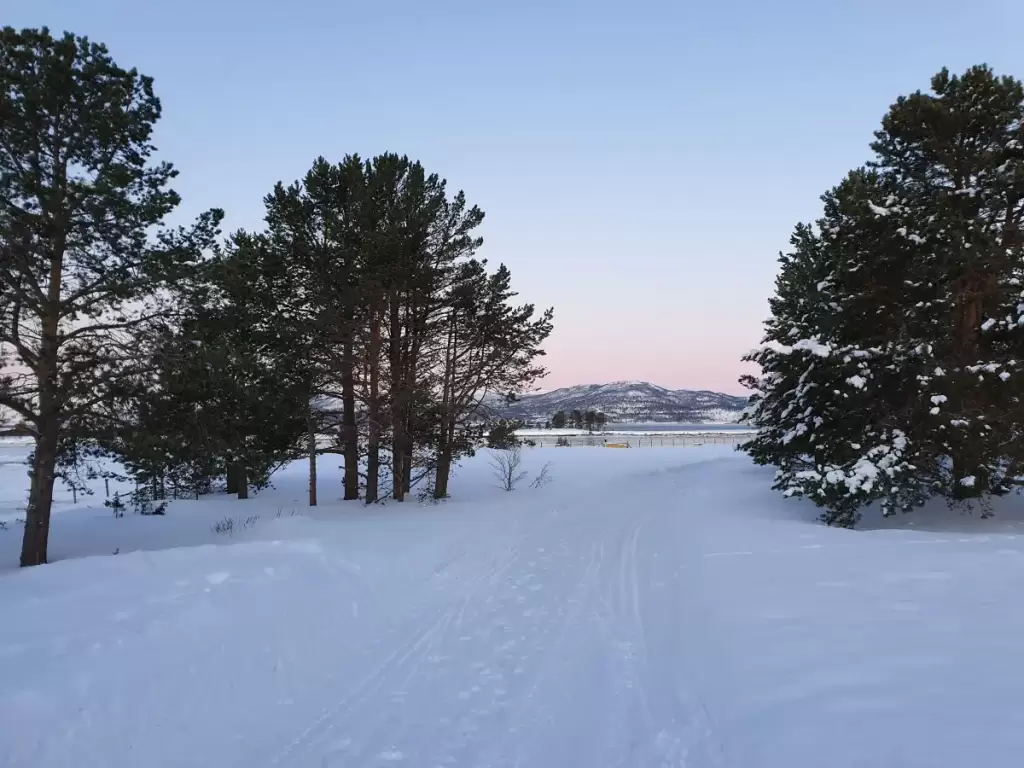 solvang camping og leirsted 10 1