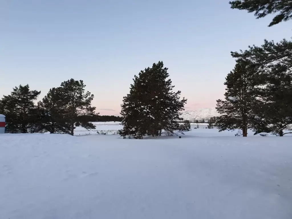 solvang camping og leirsted 12 1