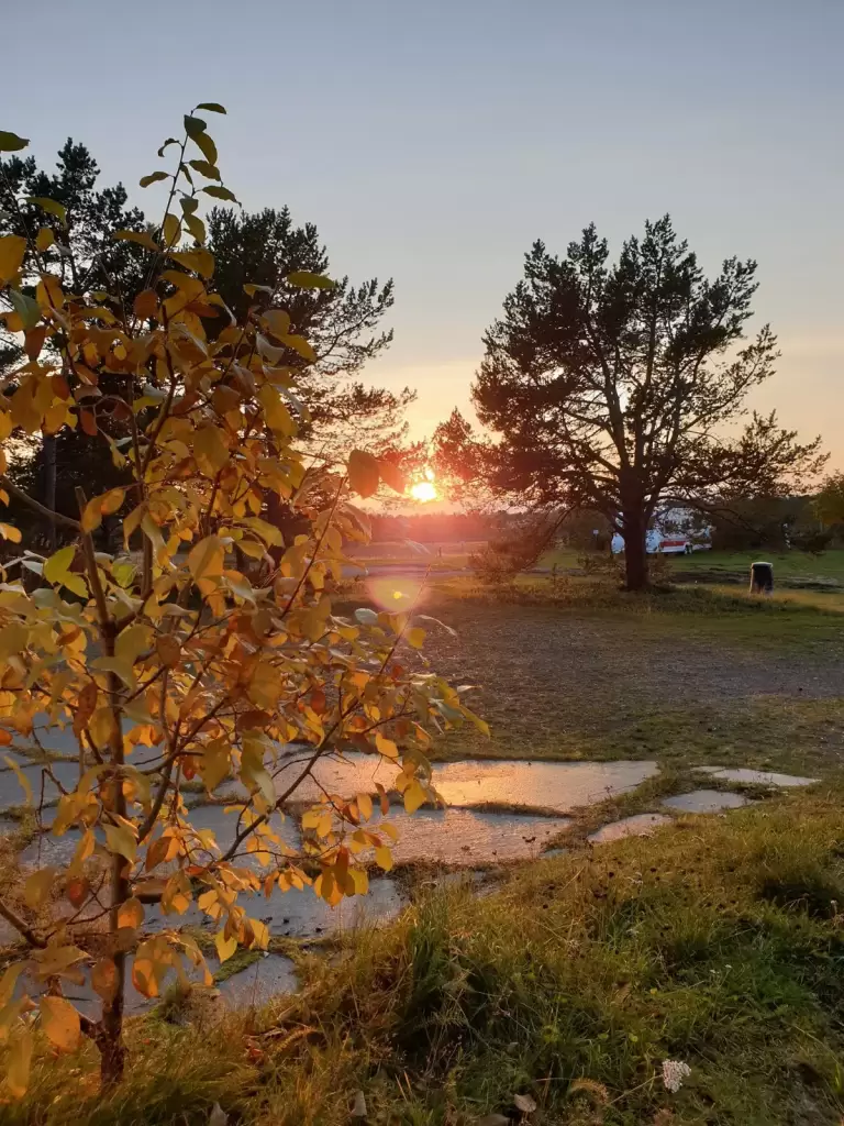 solvang camping og leirsted 15