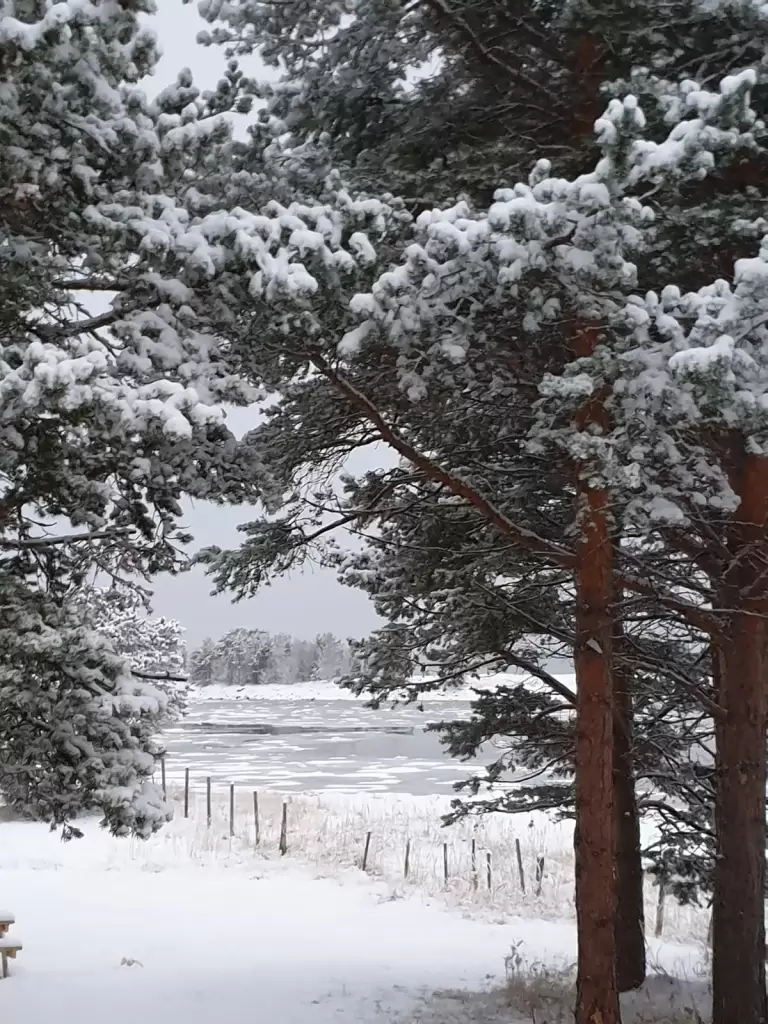 solvang camping og leirsted 19