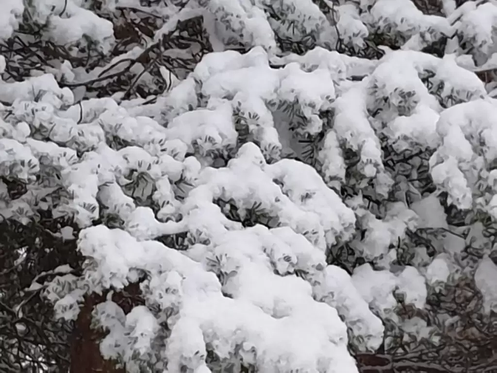 solvang camping og leirsted 20