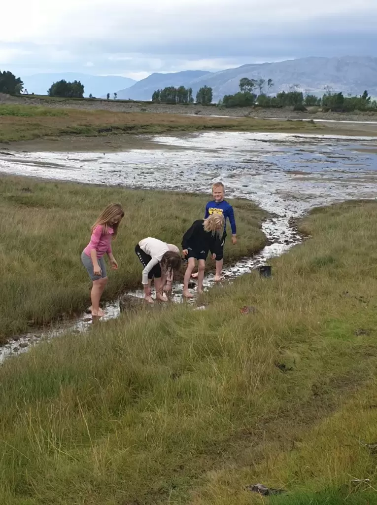 solvang camping og leirsted 21