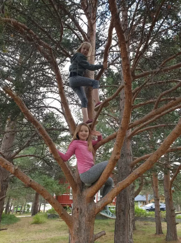 solvang camping og leirsted 22