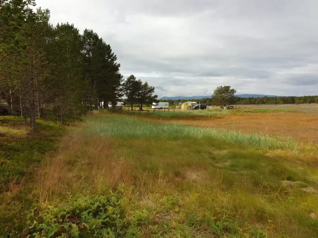 solvang camping og leirsted 24