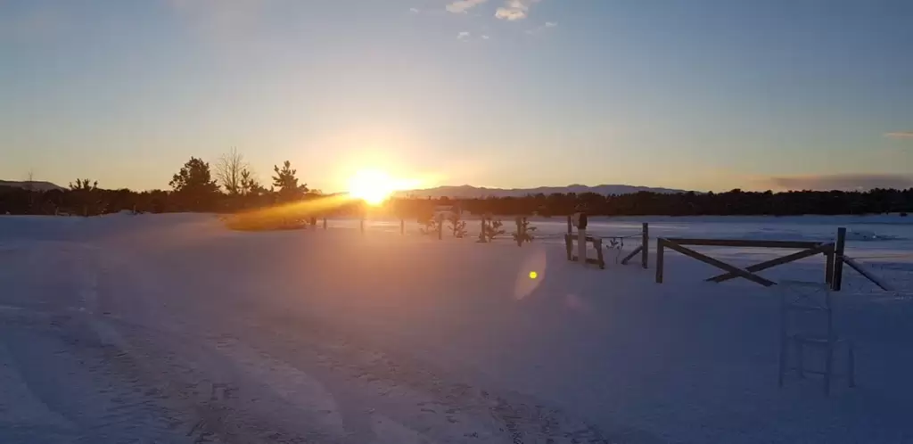 solvang camping og leirsted 3 1