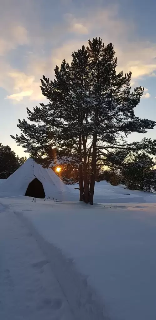 solvang camping og leirsted 4 1