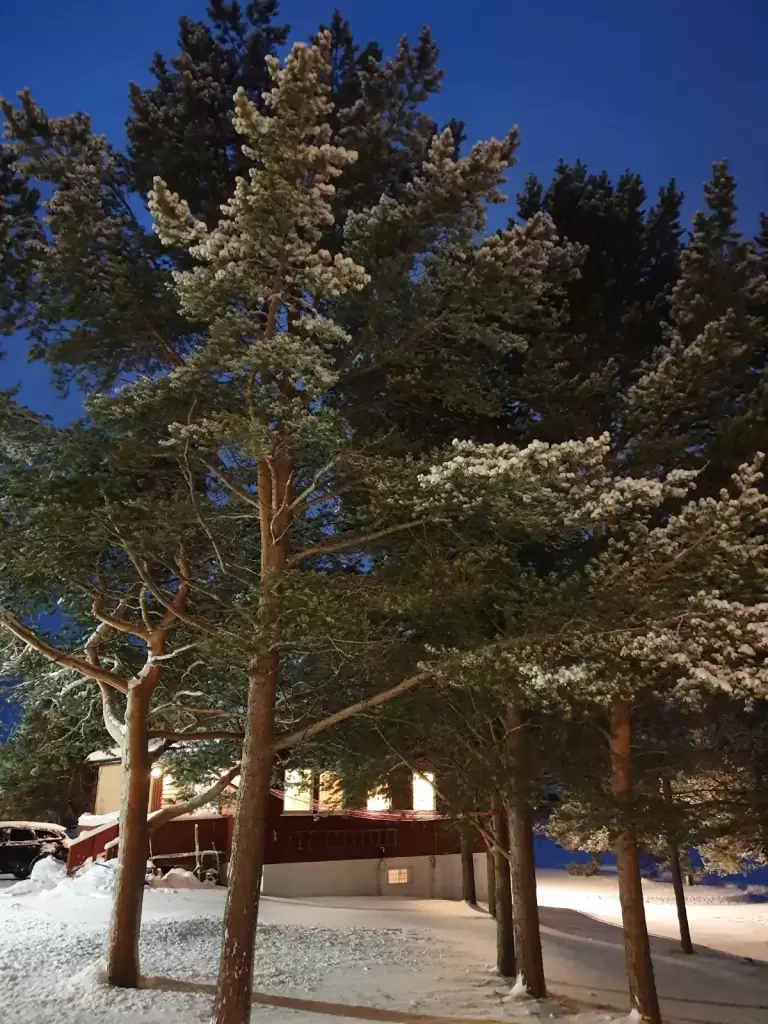 solvang camping og leirsted 5 1